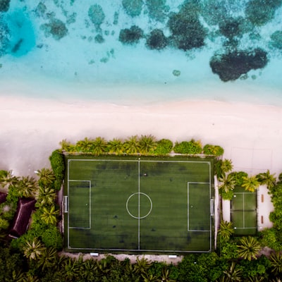 نتائج وترتيب الدوري الألماني 2024-2025أحدث التحديثات نتائج وترتيب الدوري الألماني 2024-2025أحدث التحديثات