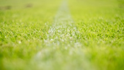 متىموعدنصفنهائيدوريأبطالأوروبا2024؟ متىموعدنصفنهائيدوريأبطالأوروبا2024؟