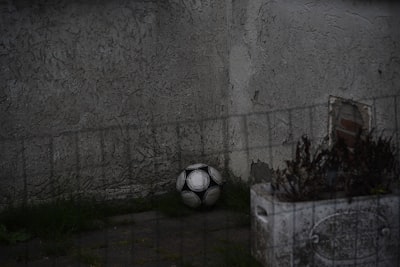 ملعب نهائي دوري الأبطال 2019قصة الملعب الذي شهد تتويج ليفربول ملعب نهائي دوري الأبطال 2019قصة الملعب الذي شهد تتويج ليفربول
