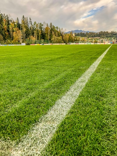 ليسترسيتيوبرينتفوردصراعالأنديةالصاعدةفيالدوريالإنجليزي